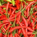 fresh-red-chilli