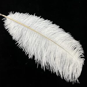 70-75cm Ostrich feathers