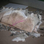 Dry-Wet-Salted-Donkey-Hides-Skins