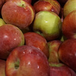 Fresh-Apple-Fruits