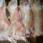 Frozen-Mutton-Lamb-Sheep-Meat-goat-boar