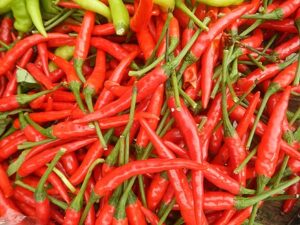 Grape-seeds-oil-extra-virgin-olive-cold