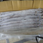 High-Quality-Frozen-Ribbon-Fish