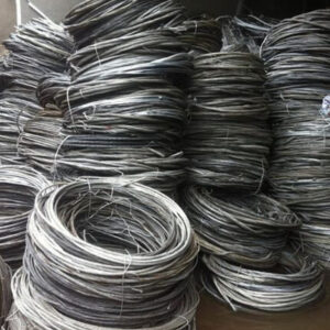 Ostrich-Chicks-Eggs-and-Feathers