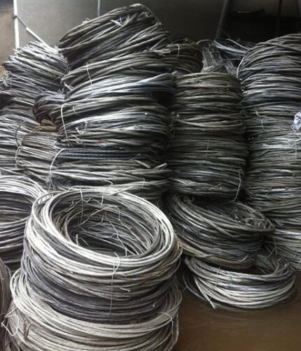 Ostrich-Chicks-Eggs-and-Feathers