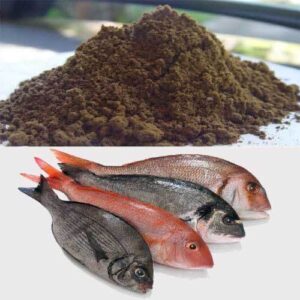 SEA-FISH-MEAL