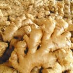 VIETNAM-FRESH-GINGER
