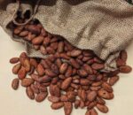 COCOA BEANS