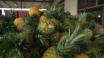 Pineaple
