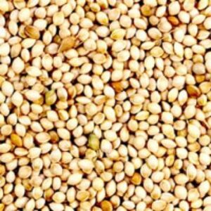 alfalfa-hay-animal-feed