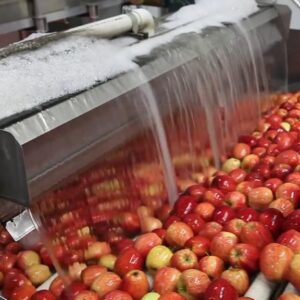 Apples