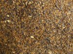 rapeseed_meal